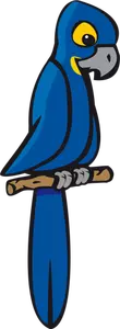 Blue macaw vector clip art