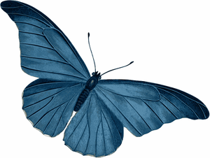 Голубая бабочка вектор