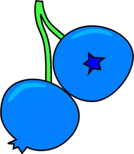 Blueberry vektor image