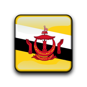 Bouton de vecteur pour le drapeau Brunei