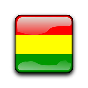 Bolivia glanzende vlag knop