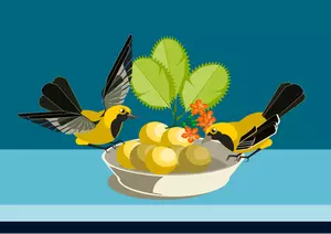 Ilustração em vetor de dois pequenos pássaros comendo um prato