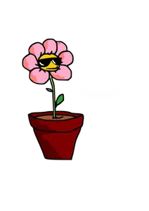 Bilde av kule blomst med solbriller
