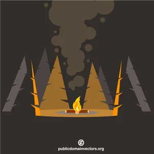 Bonfire in the forest