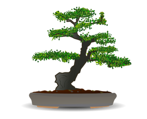 Dibujo vectorial del árbol de los bonsais