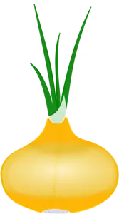 Cebolla con su hojas vector clip art