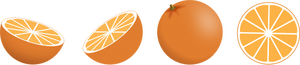 Vector image of selection of orange pieces