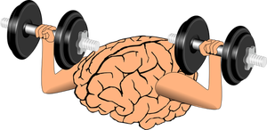 Gehirn-training