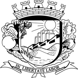 City emblem