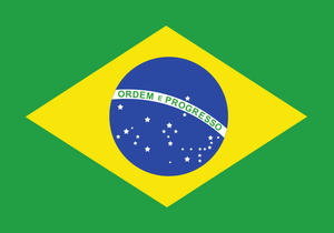 Vlag van Brazilië vector afbeelding