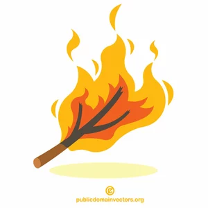 Burning tree branch