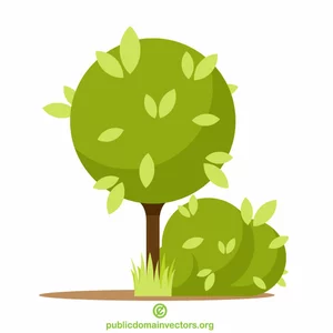 Green bush vector image