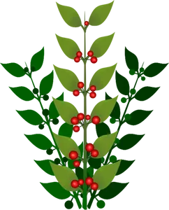 Cabang dengan berries vektor ilustrasi