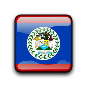 Pulsante di bandiera Belize vettoriale
