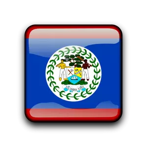 Botão de bandeira de vetor de Belize