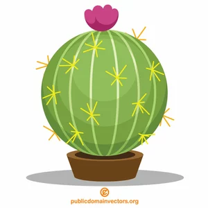 Kaktus im winzigen Topf