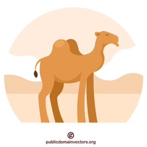 Animal de camelo