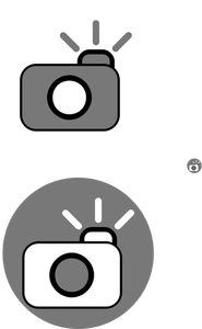 Cámara con imágenes prediseñadas vector icono flash