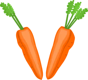 Porkkanan puolikkaat