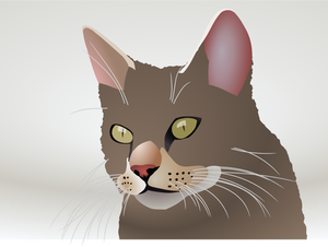 Image vectorielle d'un chat
