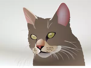 Vector image of a cat