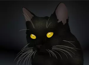 Vektorgrafikk utklipp av sort katt med gule øyne