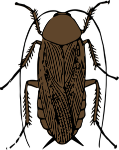145 kumbang clipart gratis Domain publik vektor