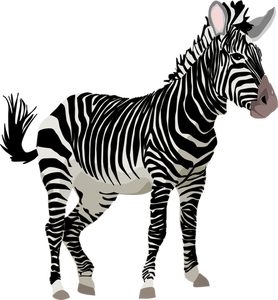 Vectorafbeeldingen van kleur zebra dier