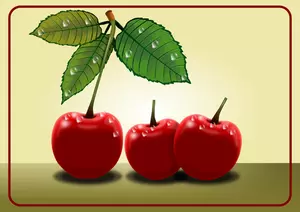 Sweet cherries vector clip art