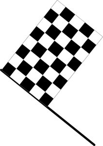 Checkered flag vector image