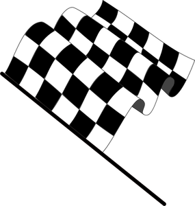 Wellenförmige Zielflagge Vektor-Bild