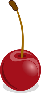 Cherries vector drawing