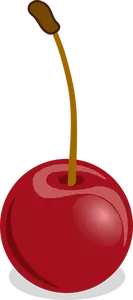 Vector graphics of cherries with petiole
