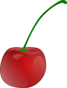 Photorealistic vector graphics of cherry