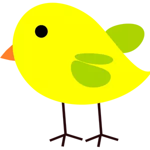 Pollo giallo