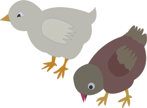 Illustrazione vettoriale di due polli colorati roaming intorno