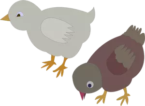 Vektor ilustrasi dua ekor ayam berwarna yang berkeliaran