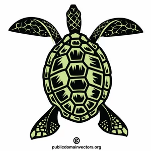 Sea turtle vector image