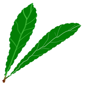 Pereche de frunze verzi