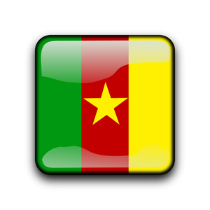 Pulsante di bandiera del Camerun