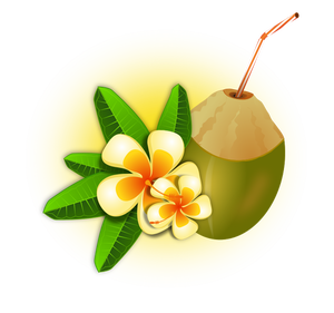 Coconut cocktail vector graphics