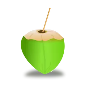 Imagen vectorial de coco verde
