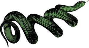 Gewickelte grüne Schlange