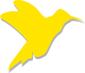 Silhouette vector drawing of colibri