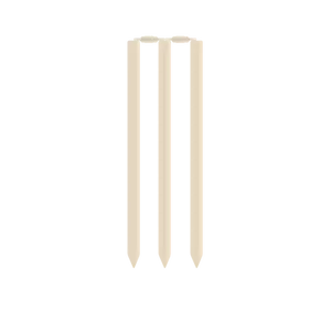 Souches de cricket et rails vector image