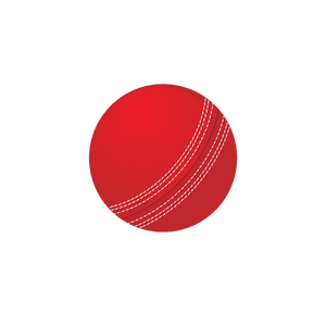 Cricket bal vector afbeelding