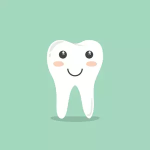 Cute anthropomorphic smiling tooth