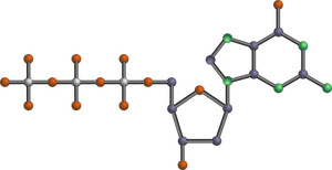 Moleculă de ADN