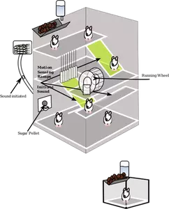 Vector graphics of mouse experiment trap