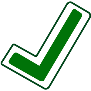 Verde corect vector icon